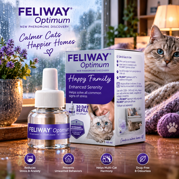 FELIWAY Optimum 48ml Refill - Best Solution to Ease Cat Anxiety