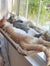 Winter Cat Window Hanging Hammock Bed Suction Cup Space Saving All Seasons Easy Install Pet Bed Cat Climbing Frame